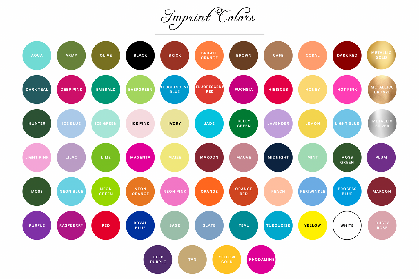 Seashell Frosted Cups