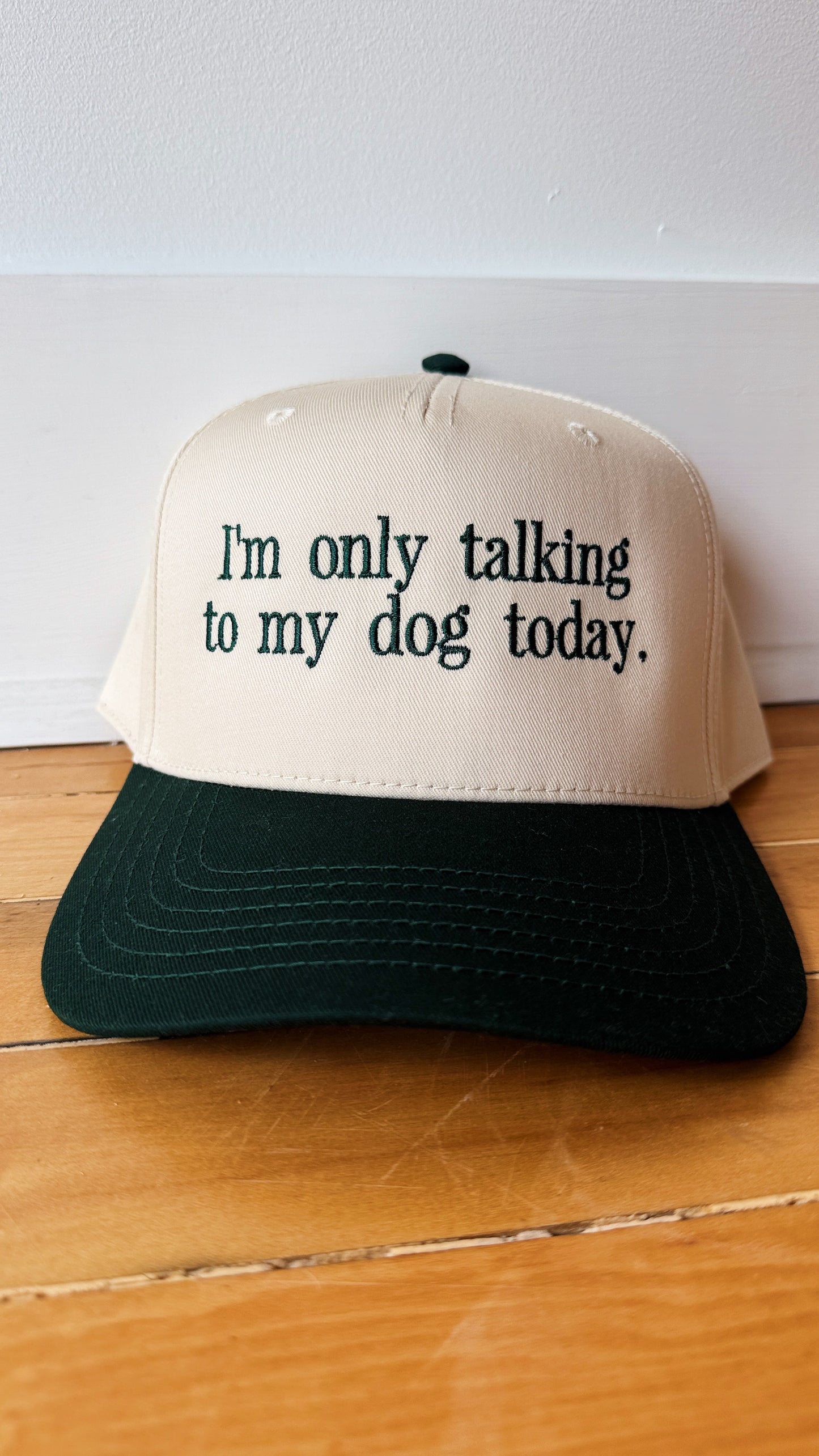Talking to my Dog Canvas Hat