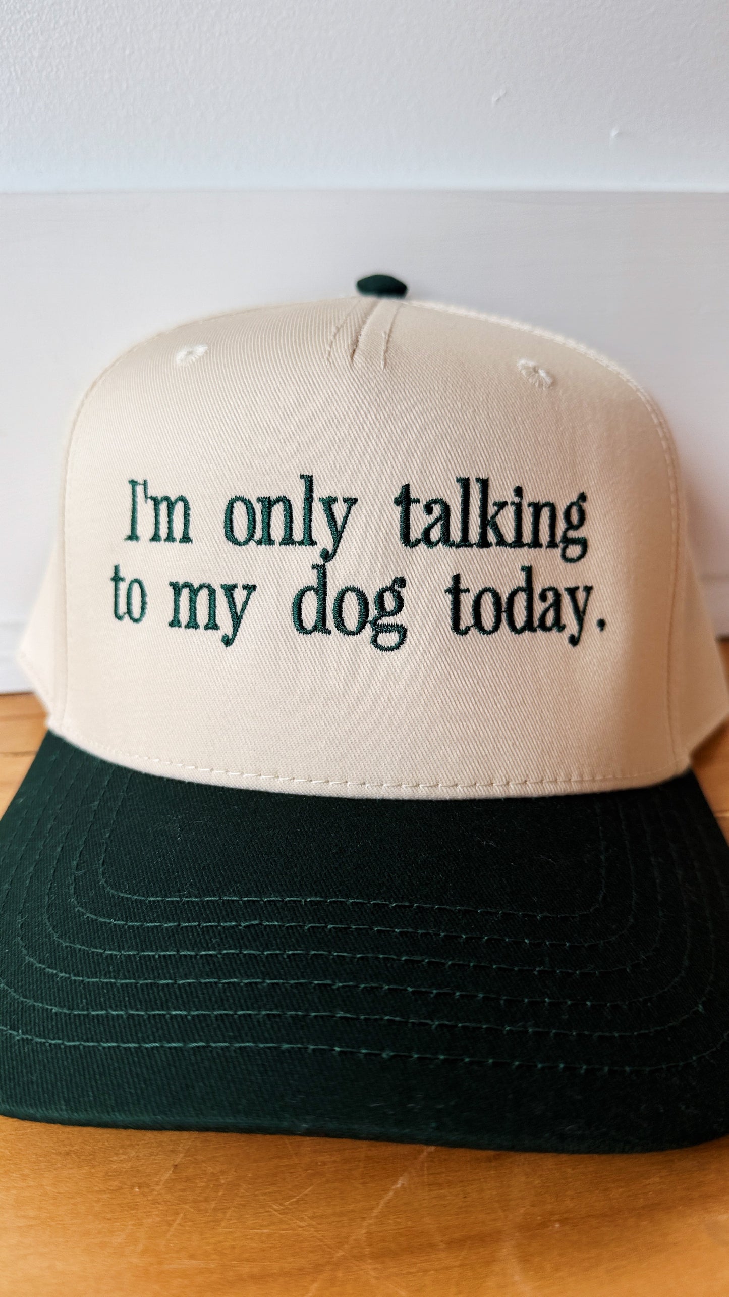 Talking to my Dog Canvas Hat