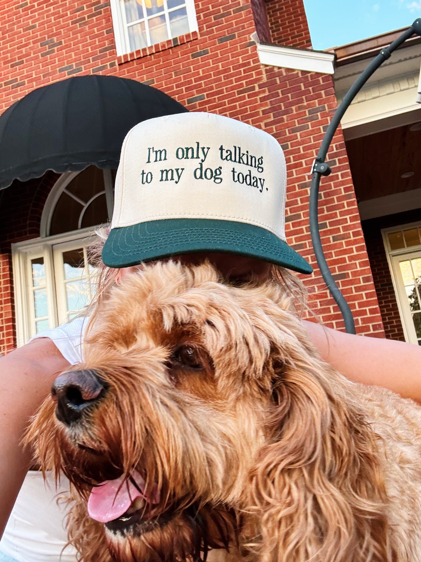 Talking to my Dog Canvas Hat