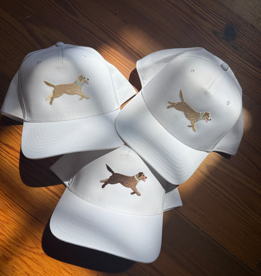 Lab Canvas Hat