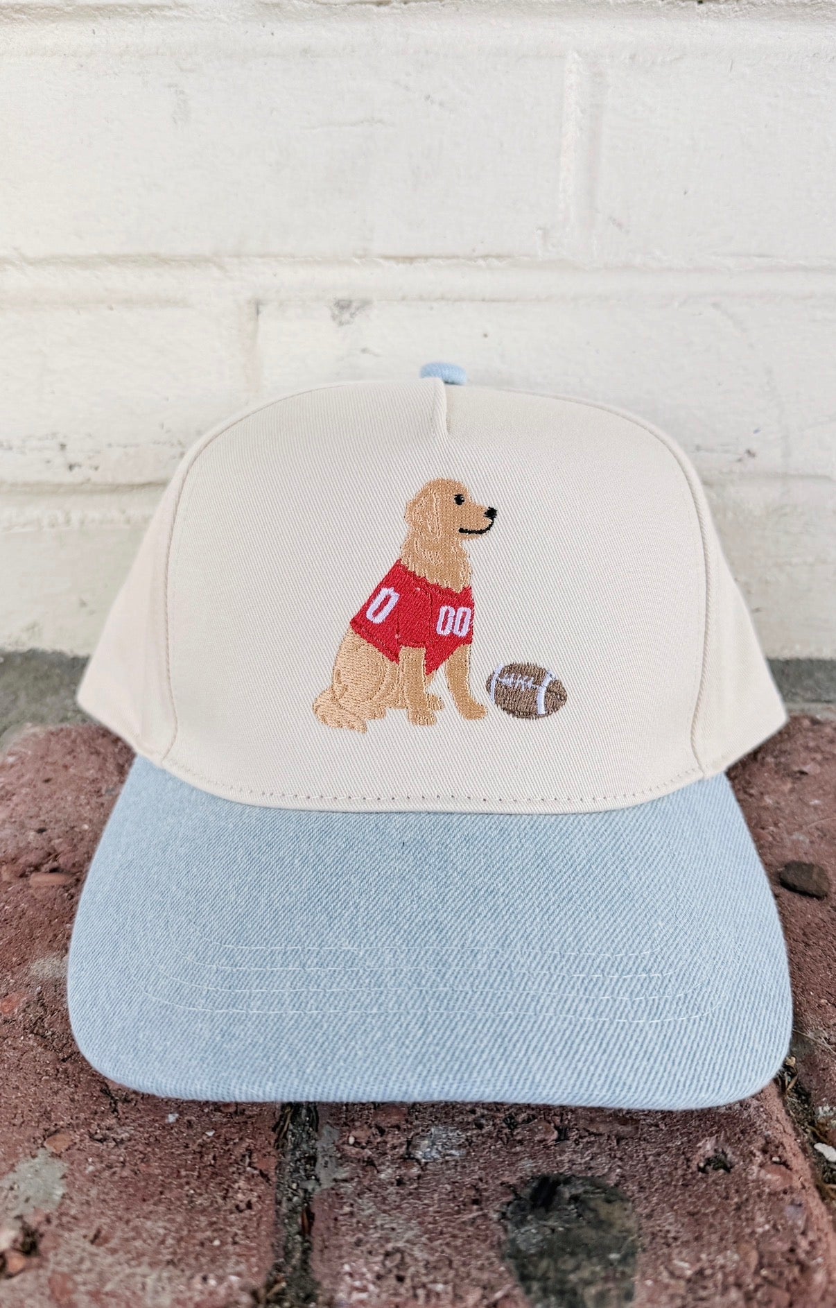 Football Golden Retriever Canvas Hat