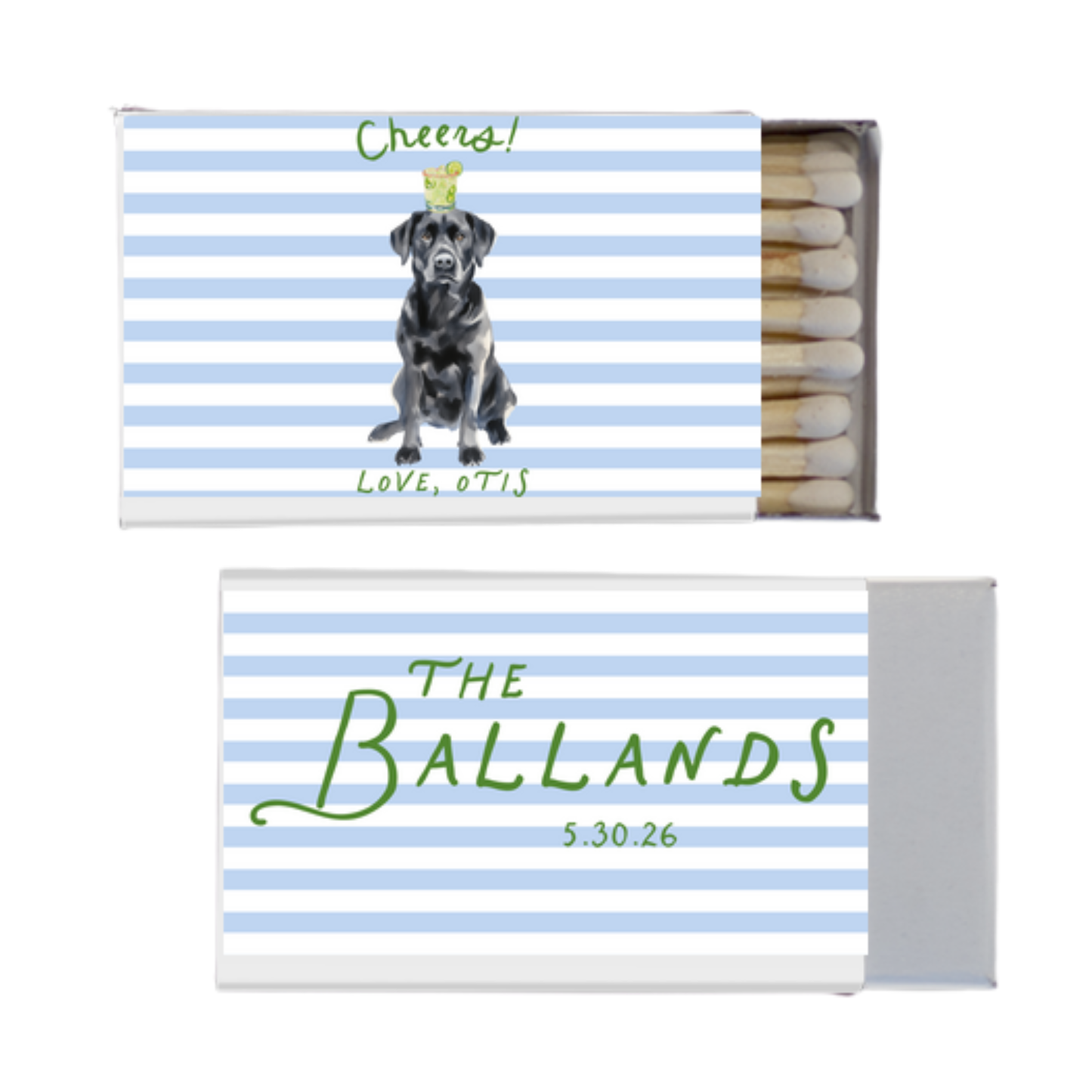 Labrador Full Color Matches